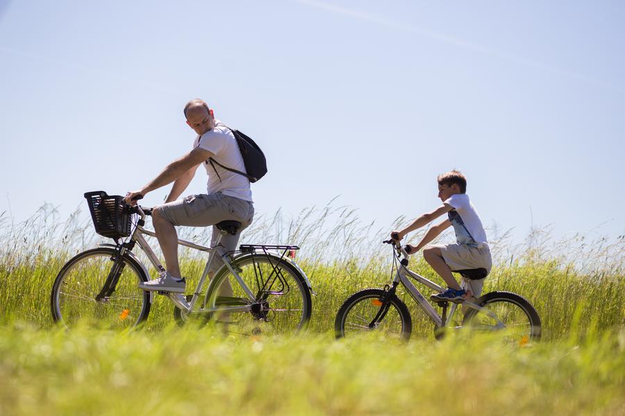 Van Gogh à vélo : balade en vélo au bord de l'Oise