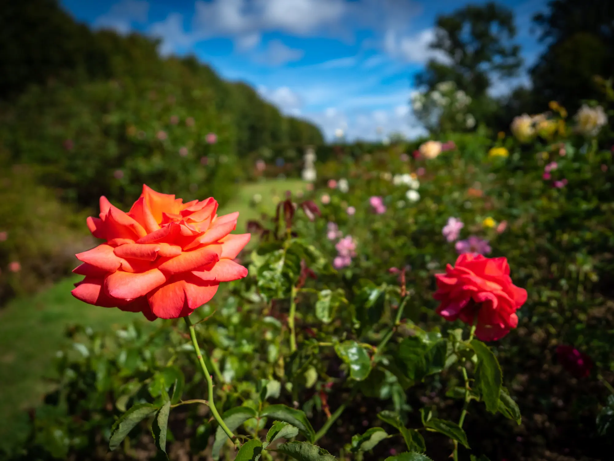 Jardins de Mesnil Geoffroy : visite pour le Festival Normandie Impressionniste 2026