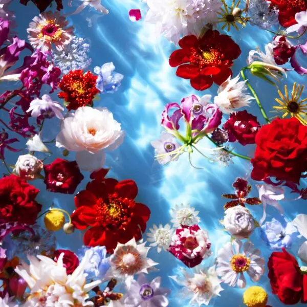 Floraison Sauvage par Mika Ninagawa pour le Festival Normandie Impressionniste 2026 © Mika Ninagawa, Courtesy of Tomio Koyama Gallery