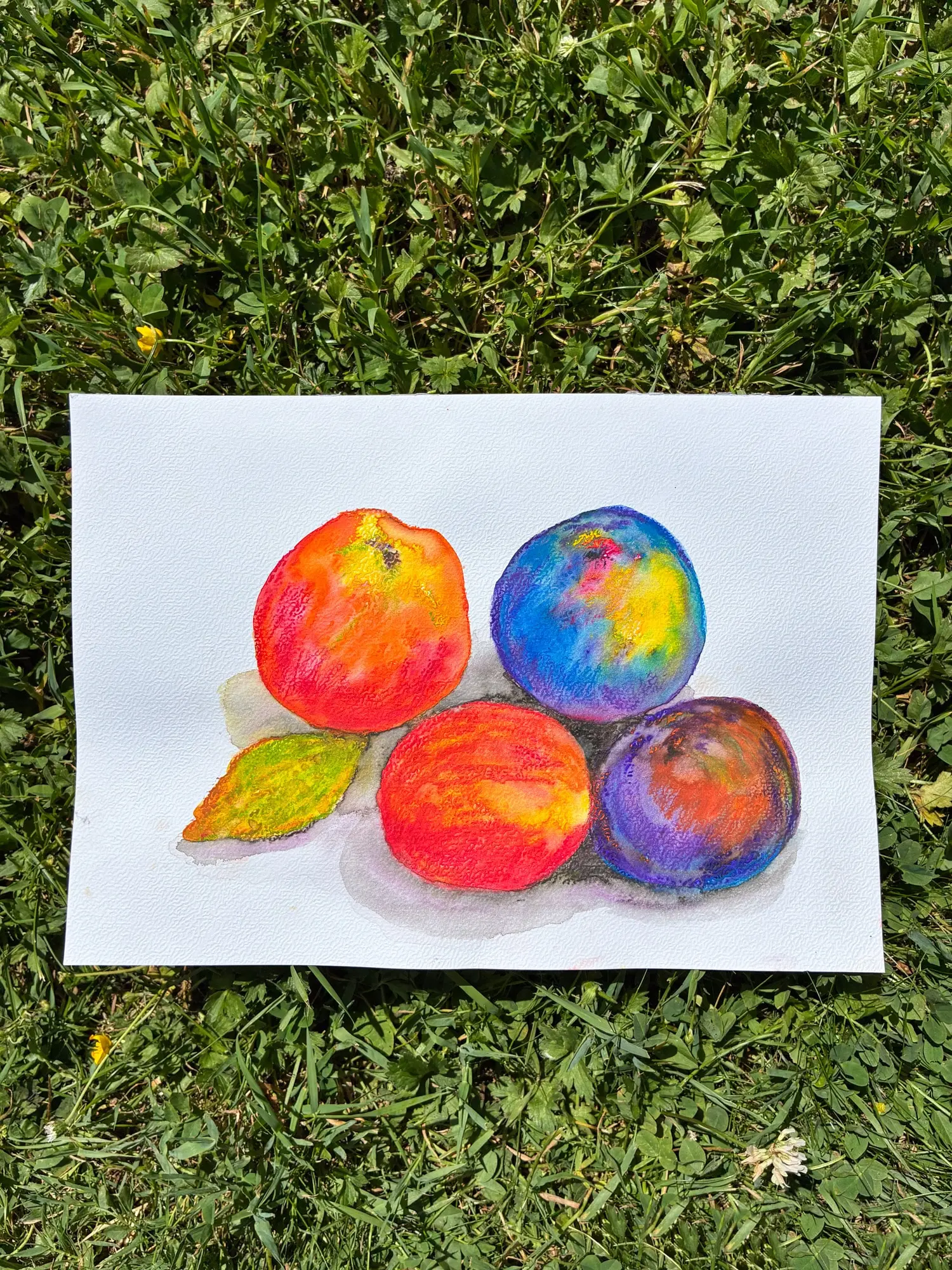 Ateliers enfants au Musée des impressionnismes Giverny pour les vacances de la Toussaint 2026 © MDIG